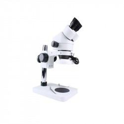 Microscopio binoculare