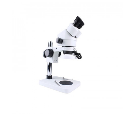 Microscopio binoculare