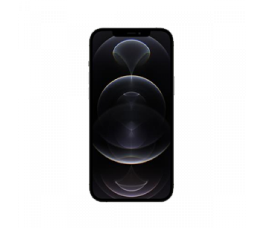 Riparazione iPhone 12 Pro Max